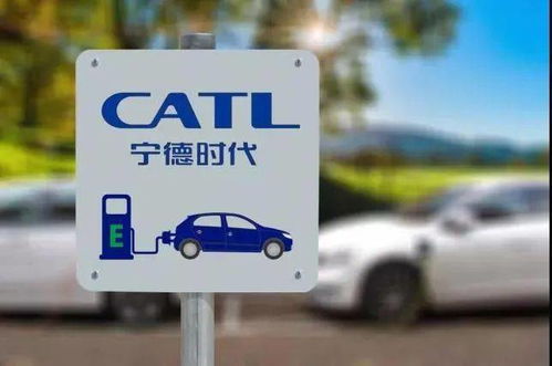 科技财经动态 裁员、投资辟谣与慈善新动向